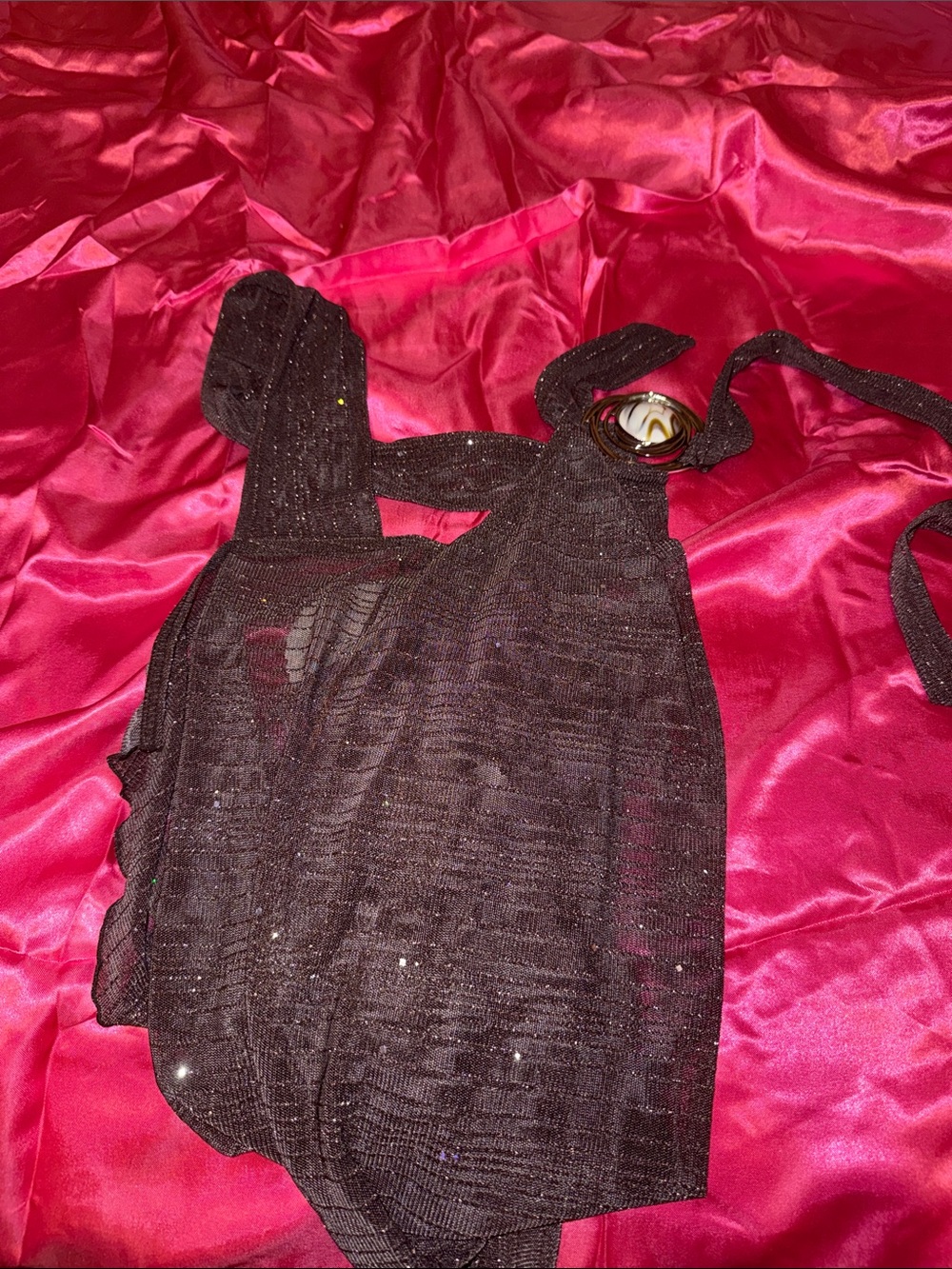 NWT Windsor Sparkle Brown Sheer Top